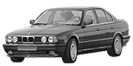 BMW E34 P1181 Fault Code